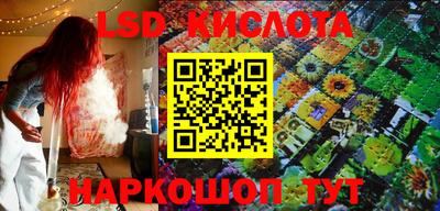 гашик Будённовск