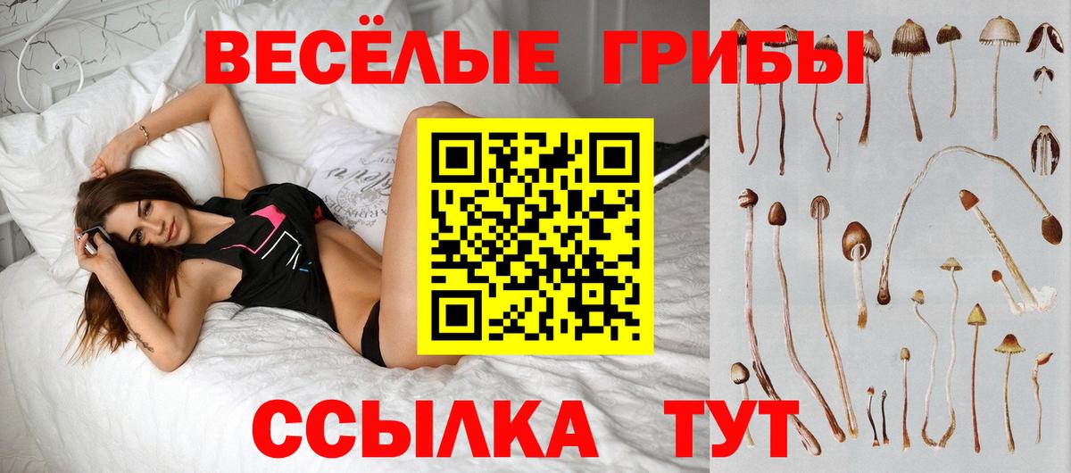 Псилоцибиновые грибы мухоморы  Галлюциногенные грибы Psilocybe  Сосновоборск  Вход с VPN 